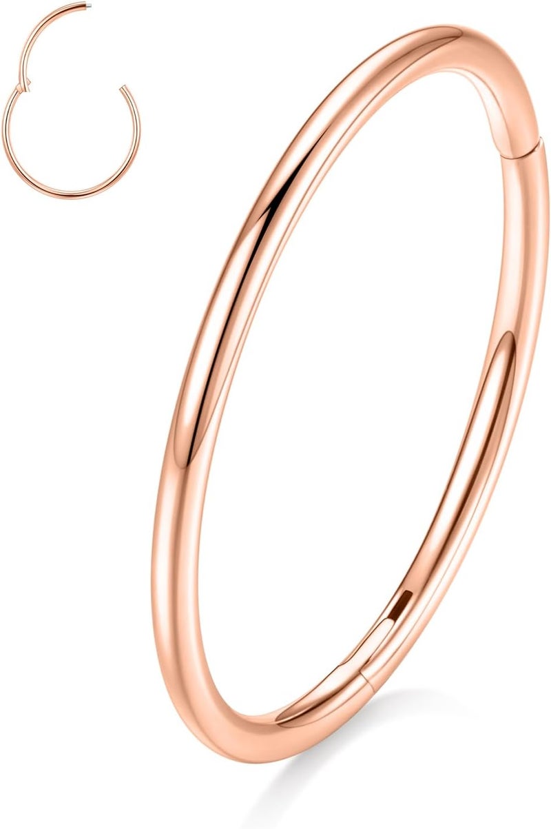 FUNLMO Store 316L Surgical Steel Hinged Segment Nose Ring Hoop for Nose Septum Cartilage Helix Tragus Conch Rook Daith Lobe Lip Piercings 1 Pc - Image 1